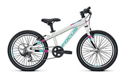 focus raven rookie 24