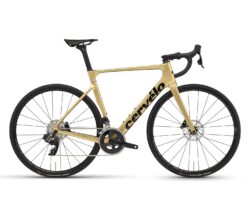 cervelo soloist rival etap axs gold dust