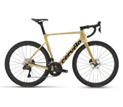 cervelo soloist ultegra di2 gold dust