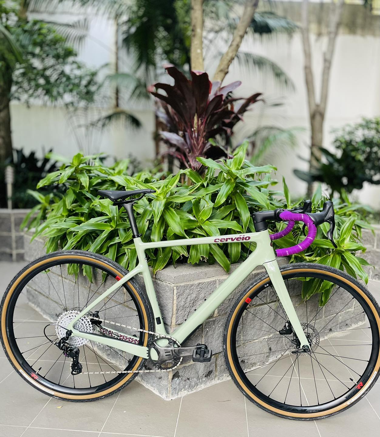 Happy Wheels Cervelo Aspero Endurance