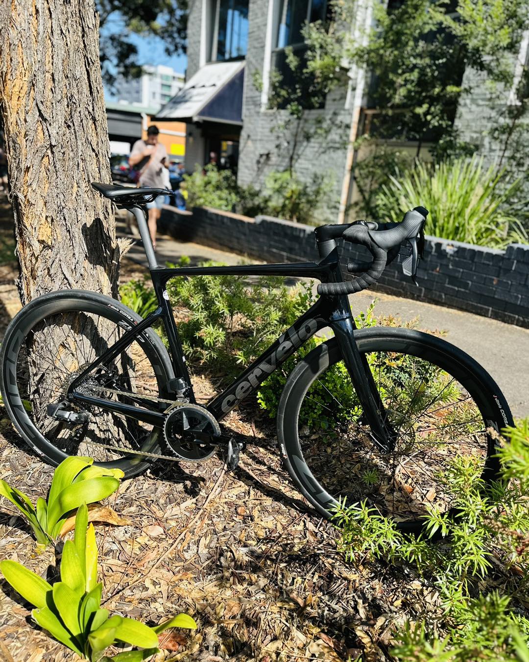 Happy Wheels Cervelo Caledonia 