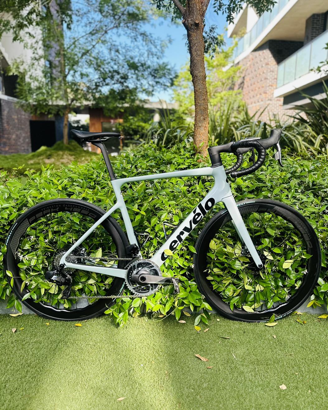 Happy Wheels Cervelo Caledonia 