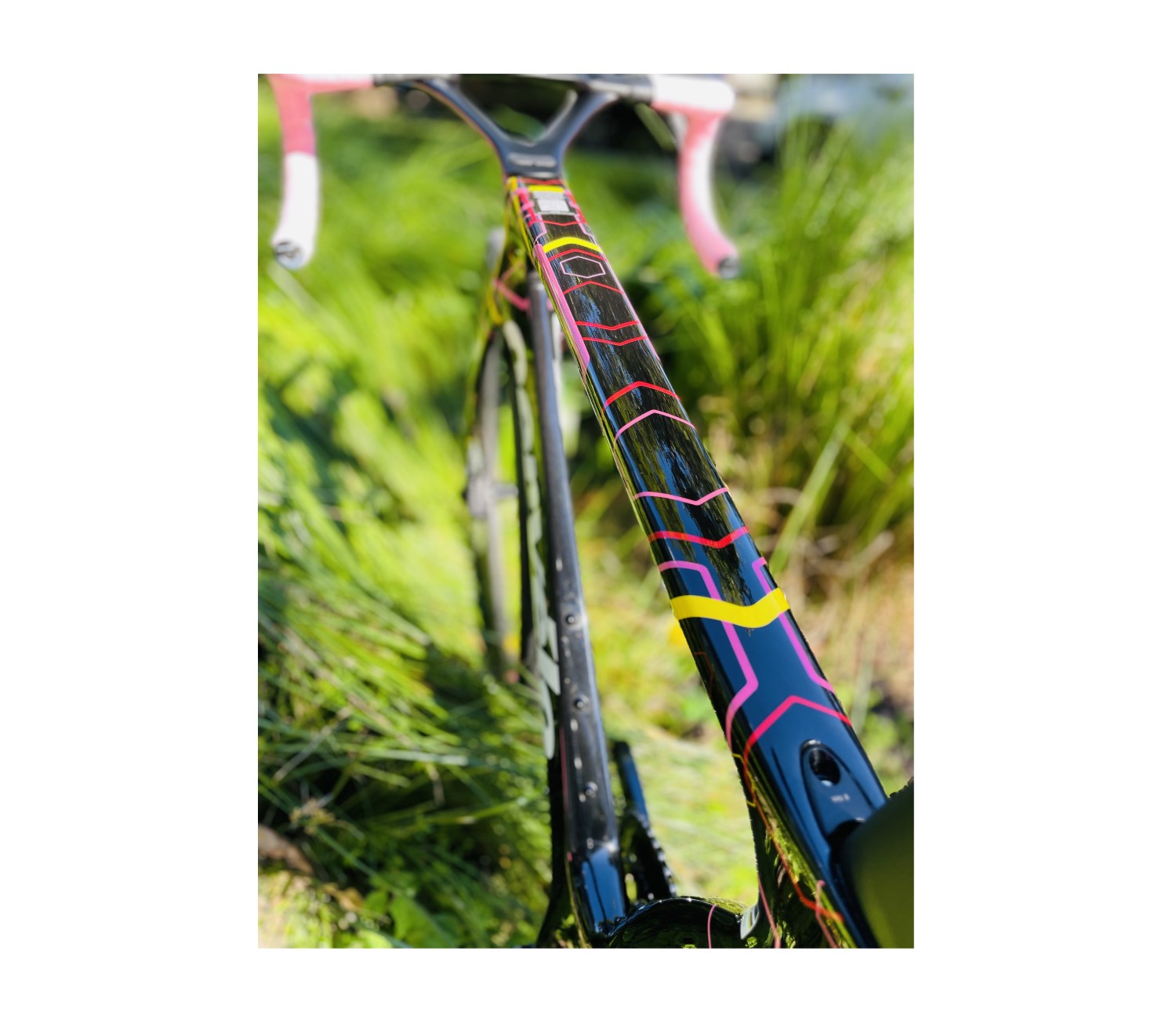 Cervelo S5 Dura-ace Celebration